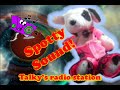 Spotty Sound LOL Show 1