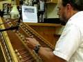 Timothy Seaman Hammered Dulcimer