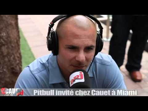 pitbull