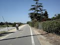 SART - Orangewood to 17th Street