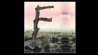 Feist - How Come You Never Go There