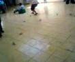 videos de Fiesta Terro en Salamanca