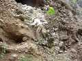 Visita de Campo FIAES a El Balasmar