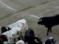 encierro de sanse