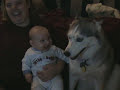 Dog makes baby laugh