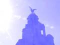 The Liver Birds
