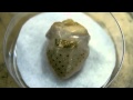 Electronic Tattoo Monitors Brain, Heart and Muscles