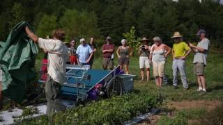 Field Day at Pangaea Plants