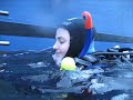 CETACEA 2007 10 JAAR