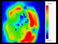 infrared movieclip of exploding popcorn in hot oil infrared movieclip of exploding popcorn in hot oil