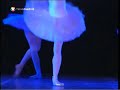 (coda allegro vivo)
el lago de los cisnes en el estanque del parque del retiro (madrid) con tamara rojo y carlos acosta.