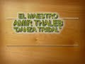 amir thaleb con sentimiento y emotividad