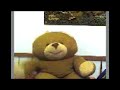 bolita el oso real bolita el oso real
