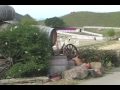 Malibu Winery #1 - LA一把抓/ tSOu LA