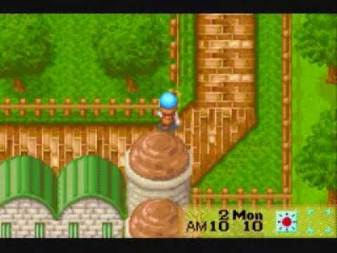 how to put cheats on gpsphone harvest moon