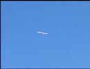 Arcus RC glider