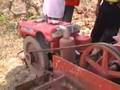 direct sunflower oil biodiesel
