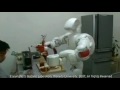 TWENDY-ONE,twendyone,humanoid