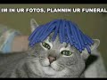 The LOLCAT complation video!!!