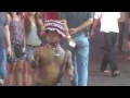 Thailand Vacation pt. 3: Pattaya Elephants/Beach Street/Walking Street