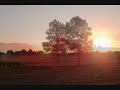 It's Going To Be A Beautiful Day - Judith Durham (The Seekers)