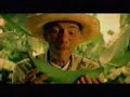 el platano mas bonito que he cosechado platanitos caribas