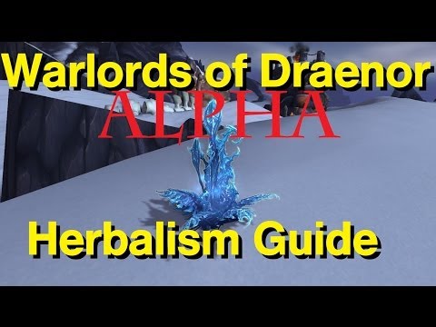 how to train herbalism wow