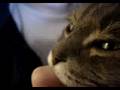 videos de GraniteMovie.mpg