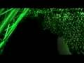 videos de Thrash and Bash 2009 commerical