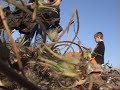 Halloween Talking Pumpkin Prank PT1