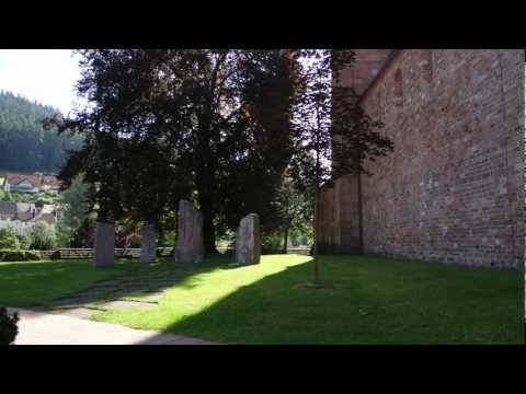 Video ansehen