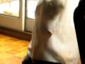 videos de ANONE TA AGUSTIIIIIIIIN?... ACA TAAA :|