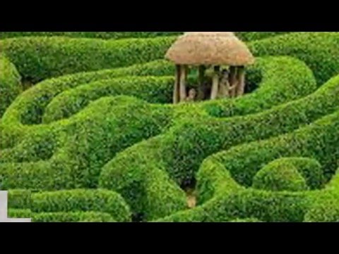 Скачать музыку прости меня за мой каприз
