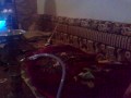 فن دوائر الشيشة
