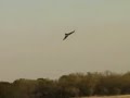 Stryker Twin elevon flutter