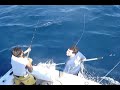 pez vela tsunami