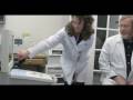 CEREC Support-Wiltrace