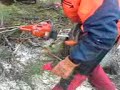 Logging with Husqvarna 372