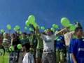 greenboys 2008