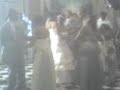 shake-your-tailfeather-family-wedding-dance.html