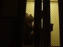 the cursed elevator.wmv