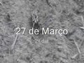 4� Capitulo