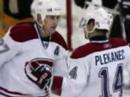 plekanec