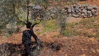 قرية كفر نعمة \ هذه فلسطين قرية كفر نعمة \ هذه فلسطين