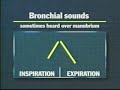 Breath Sounds