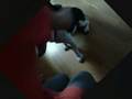 videos de Insane dog.