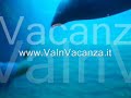 Valencia: a little seal in the Oceanographic Park