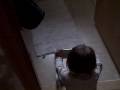 videos de zola pushing cart.