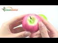 Cute Apple Shaped Wax Tea Light Candle Holder for Thanksgiving - dinodirect