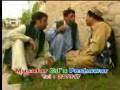 Zadran mulah